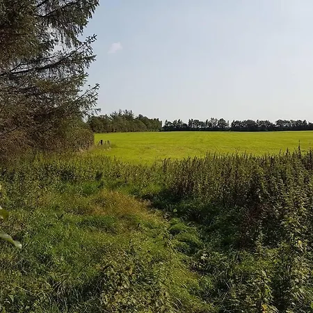 Urlaub Zwischen Den Meeren Auf Hof Jørlon